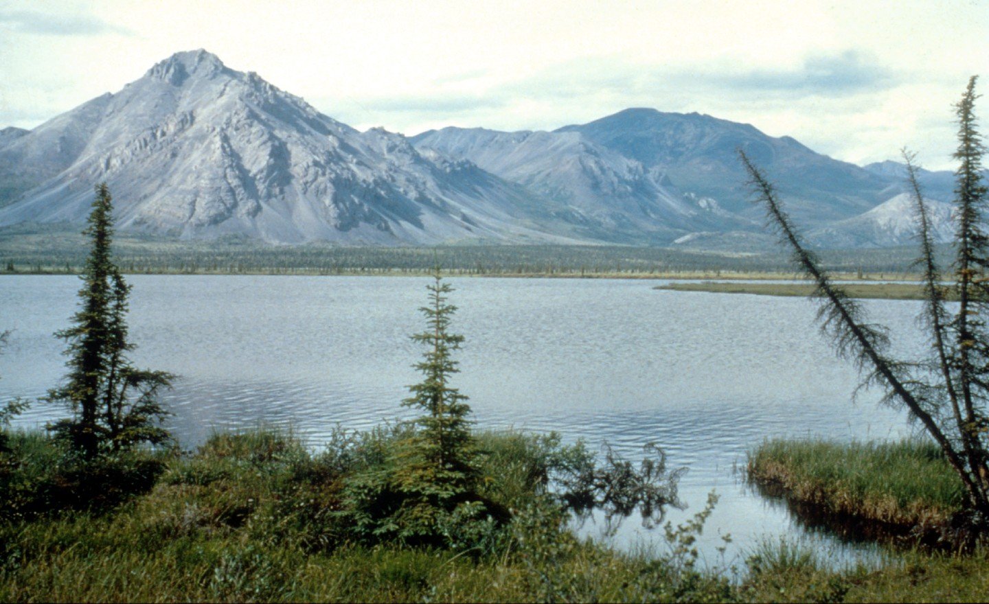 Alaska Refuge Drilling Auction Draws Sparse Bids, Just Two Bidders