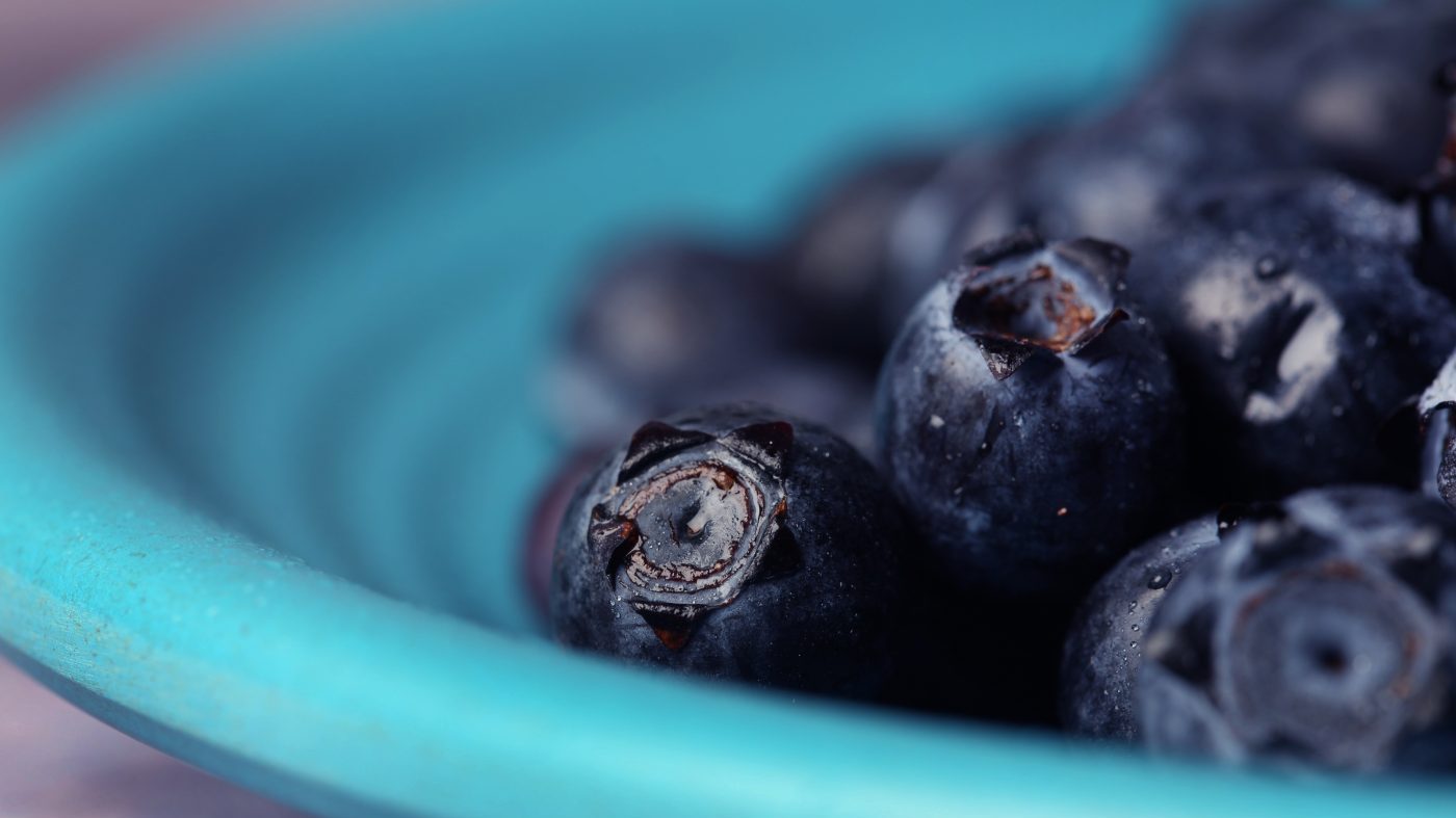 Blueberry compound shows promise in lab test to burn muscle fat