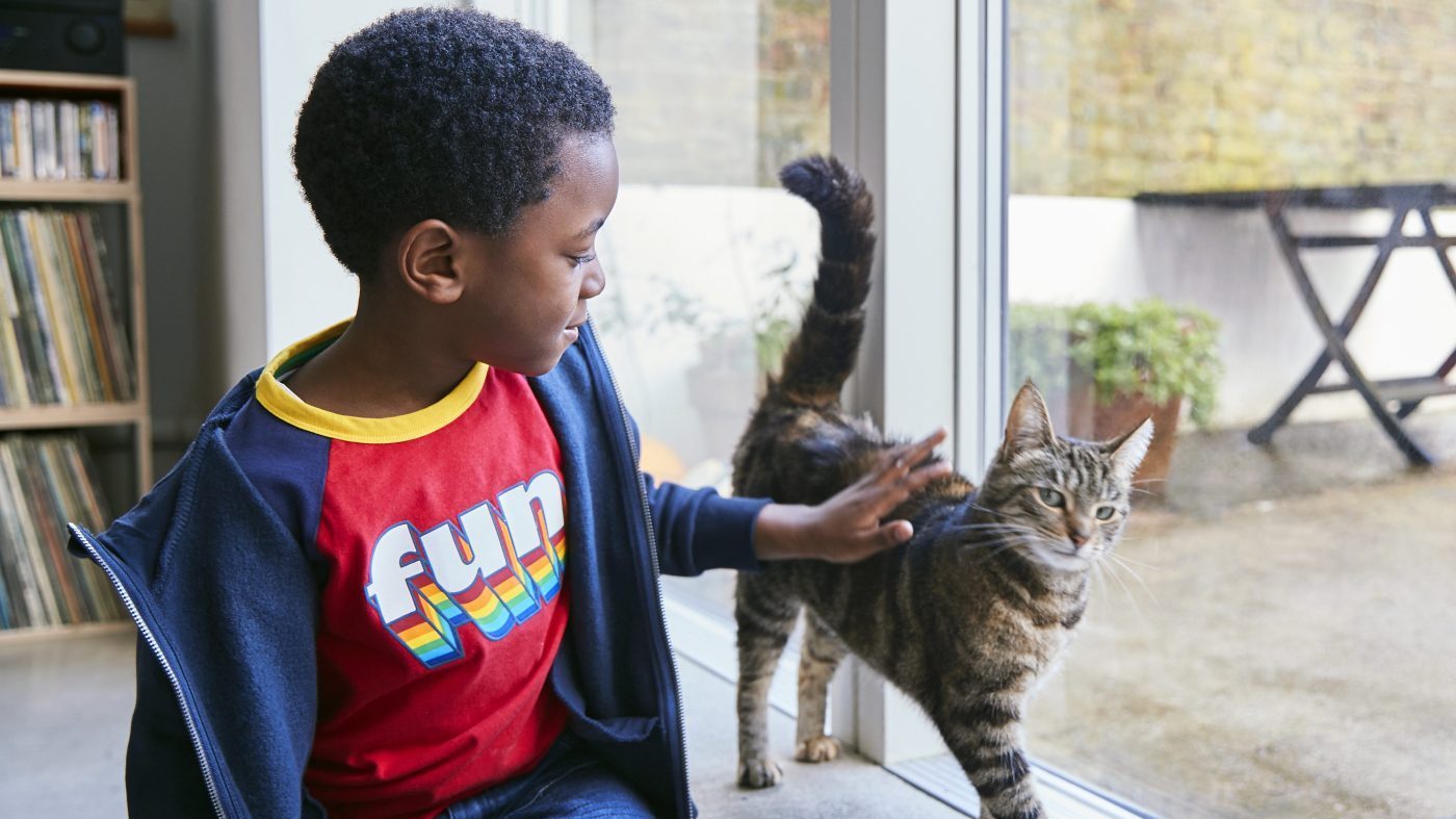 Cat Ownership Linked to Higher Anxiety Risk in Young Children