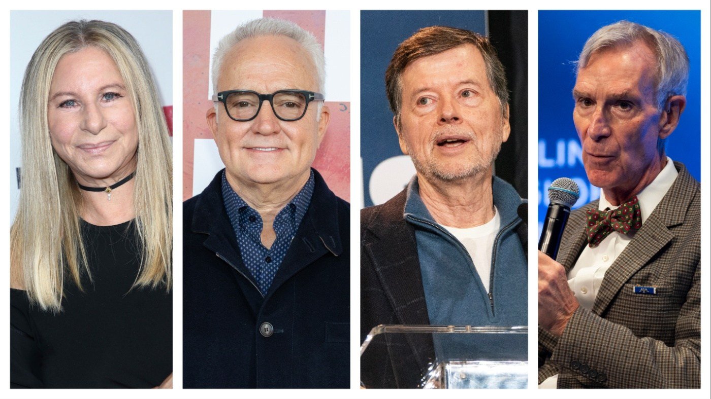 Celebrity Surrogates Join Final Democratic House Push