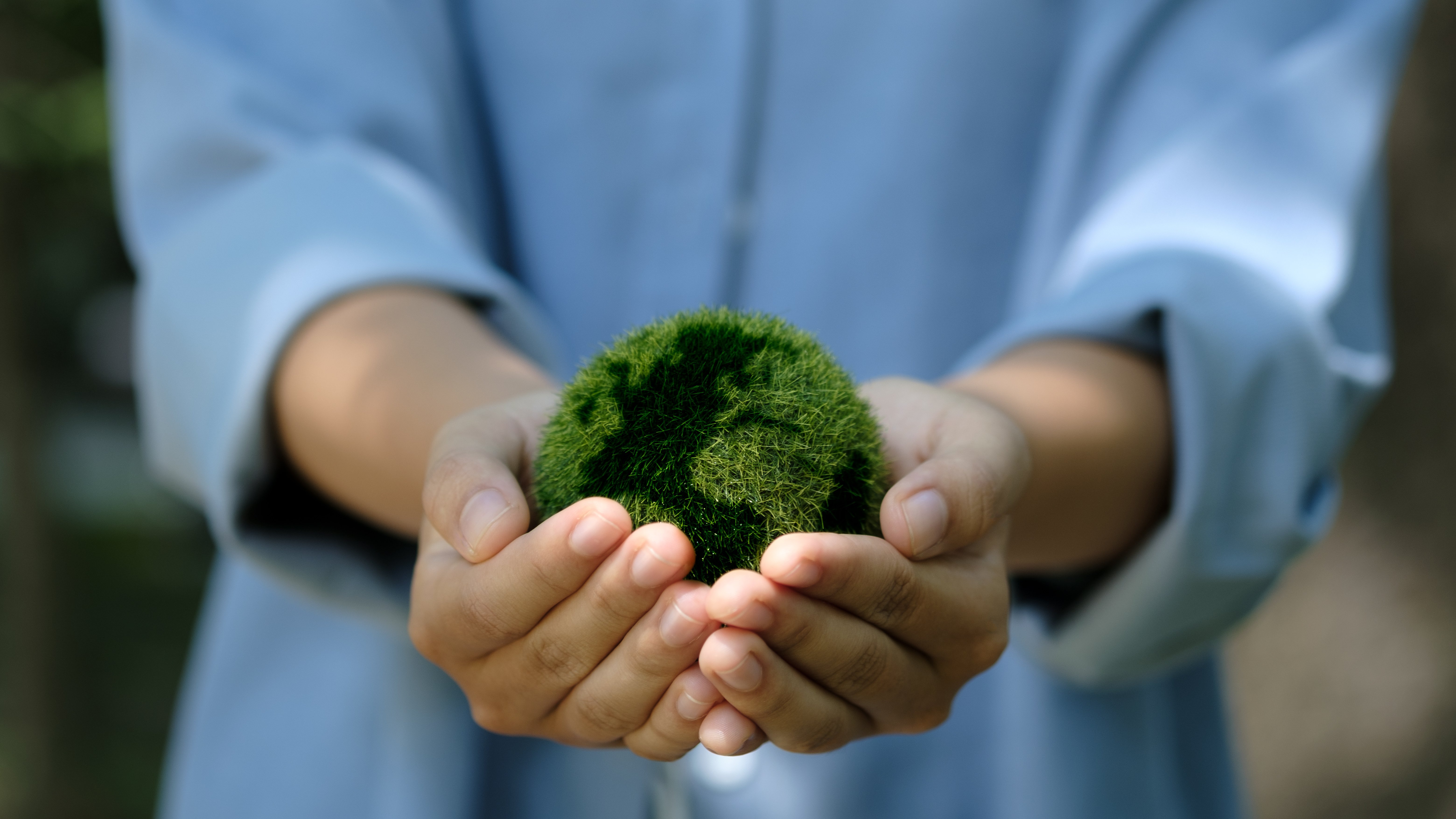 Climate Democracy: Local Action as a Counterweight to Federal Gridlock