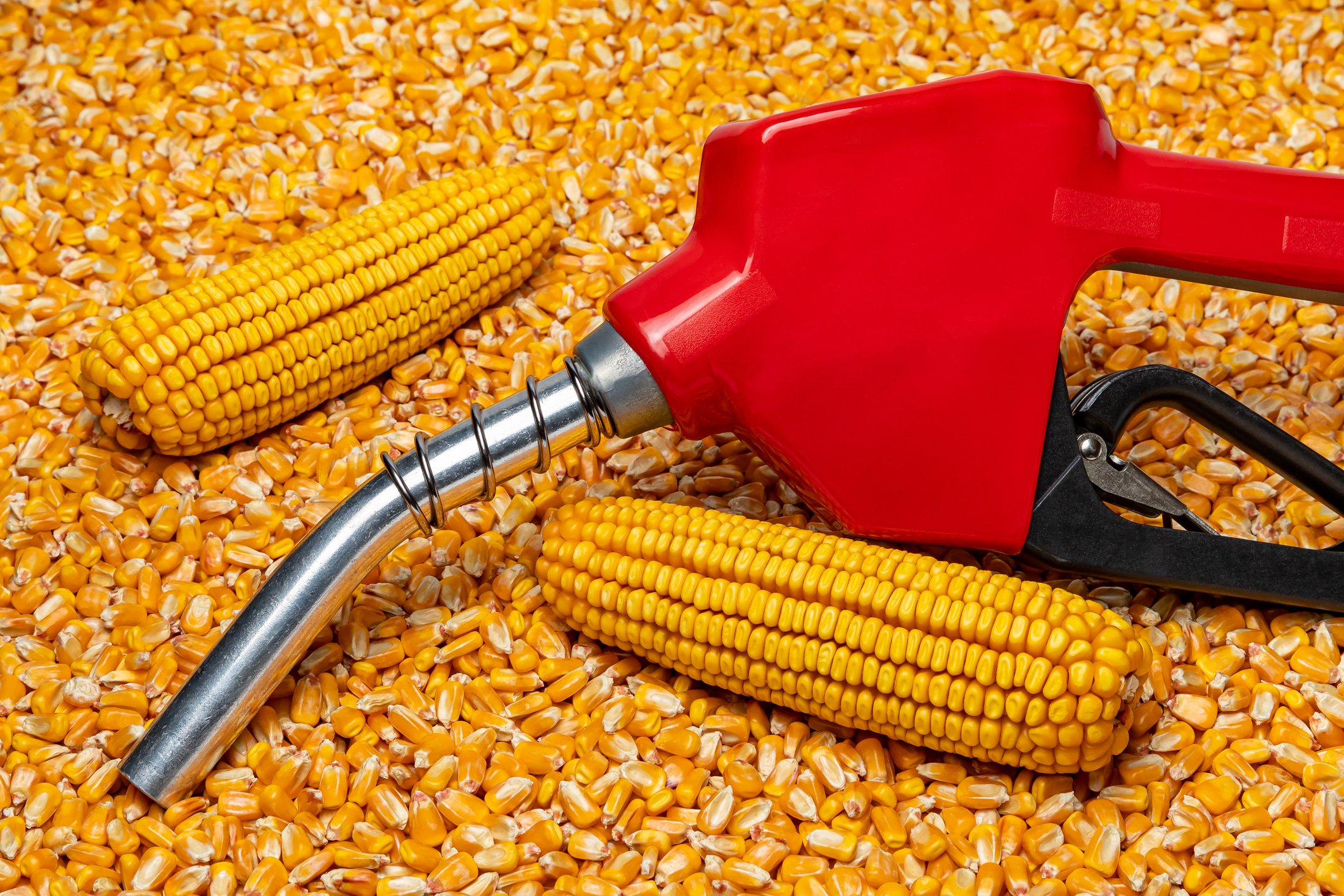 Congress Weighs Year-Round E15: A Costly Climate and Economic Miscalculation
