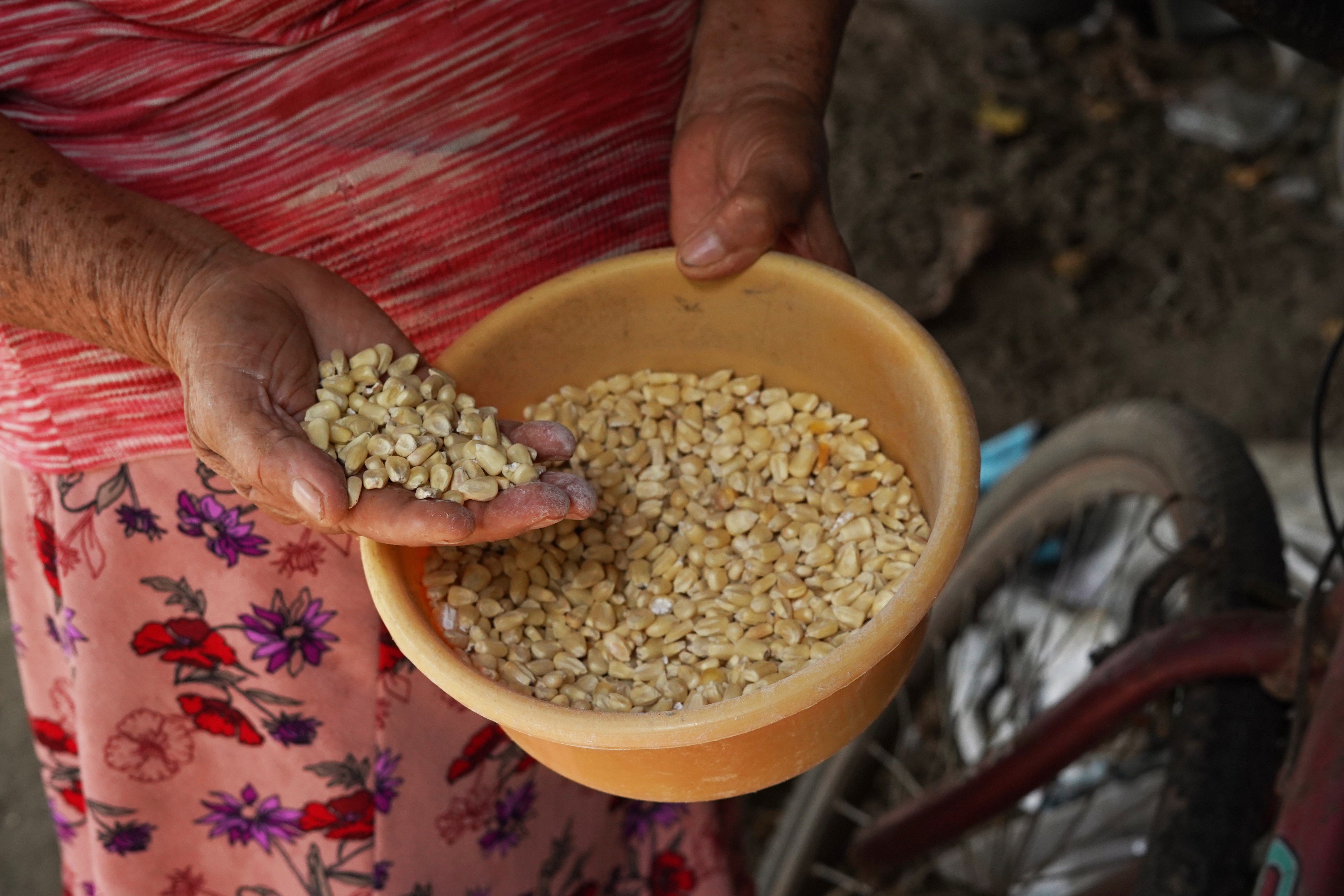 El Niño Threatens to Deepen Global Hunger Crisis