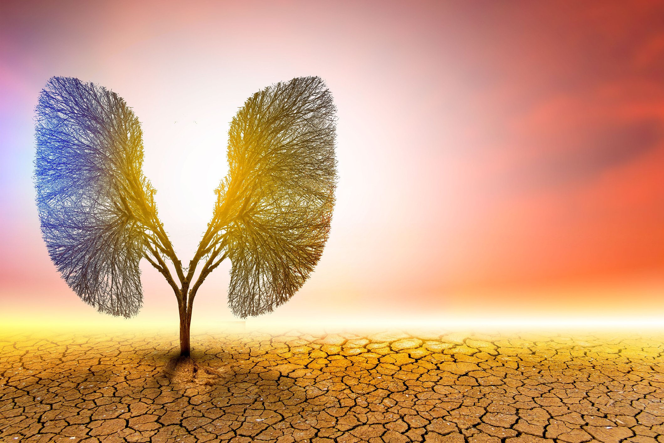 EPA Repeal of Climate Rule Ignores Chronic Disease Crisis, Doctors Warn
