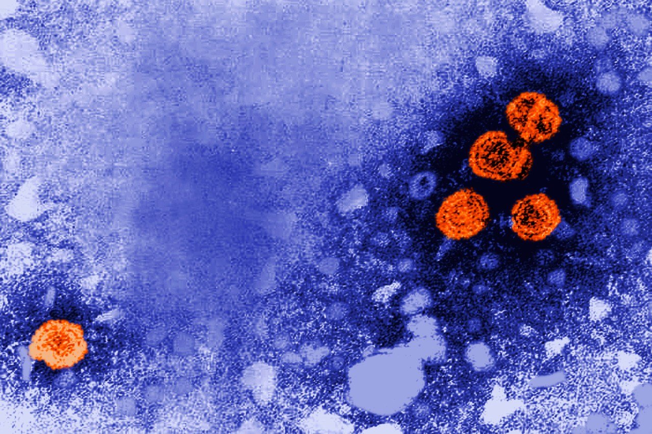 Experimental Hepatitis B Drug Shows Promise for Functional Cure in Trials