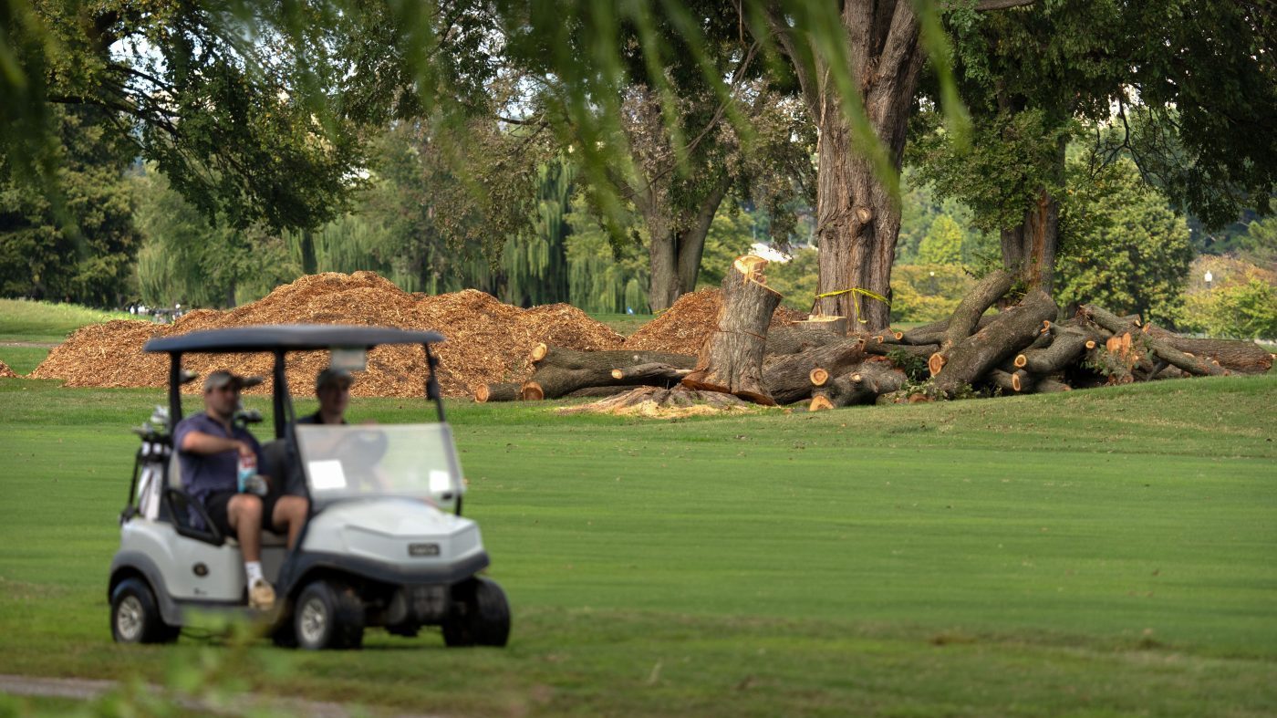 Federal Judge Halts Tree Removal at DC Golf Course Tied to Trump Renovation