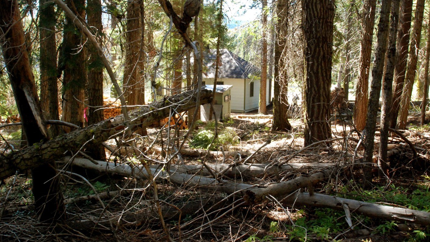 Forest Service Move to Scrap Roadless Rule Sparks Fire Management Debate