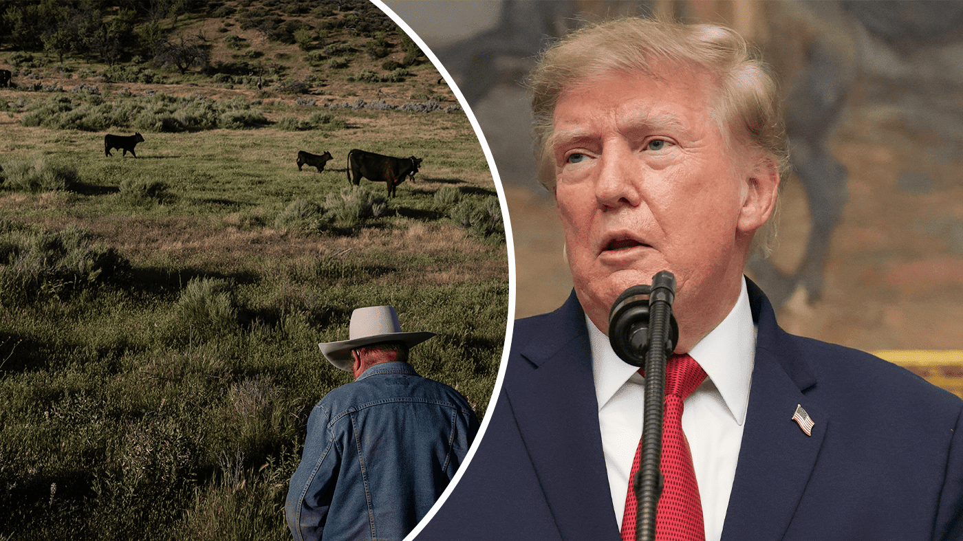 GOP ranchers slam Trump's 90-day beef import tariff pause