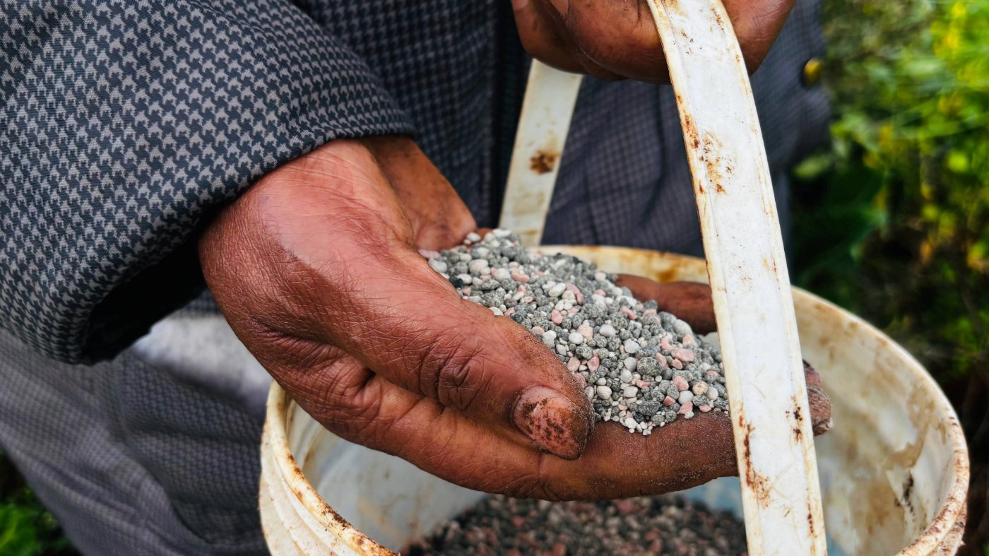 Hormuz Standoff Threatens Global Food Supply: A Fertilizer Corridor Is Urgently Needed