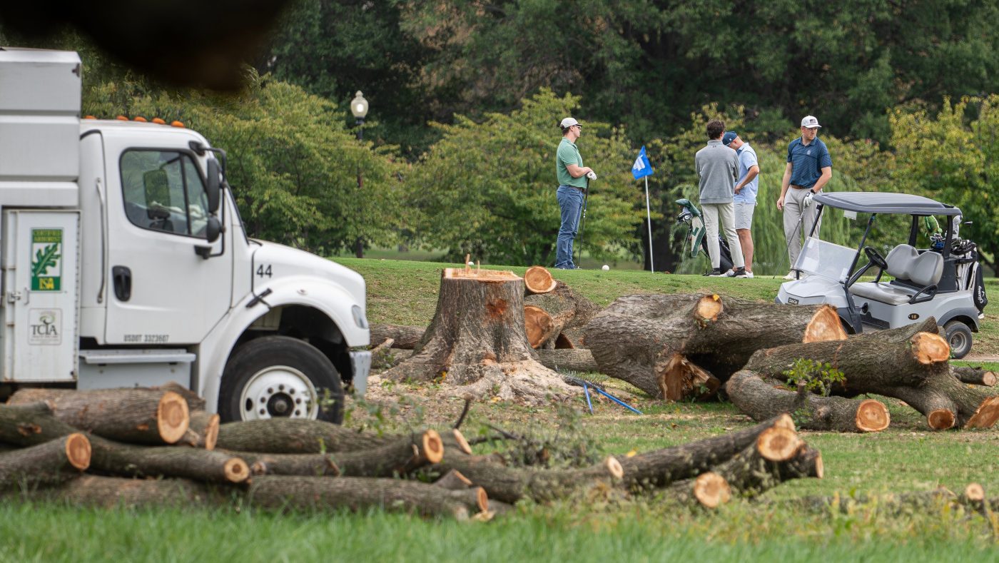 Judge rebukes Trump team over East Potomac Park tree felling