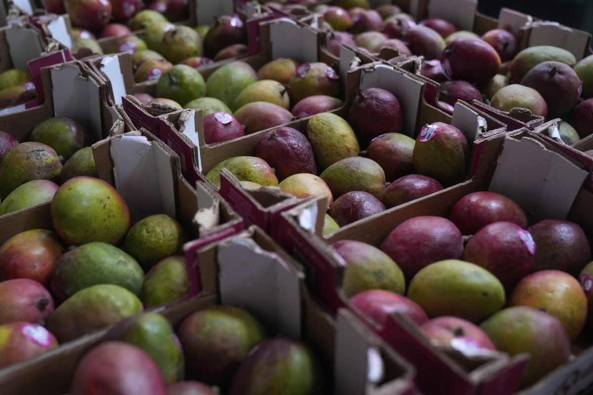 Mango Recall Expands to Four States Over Salmonella Fears