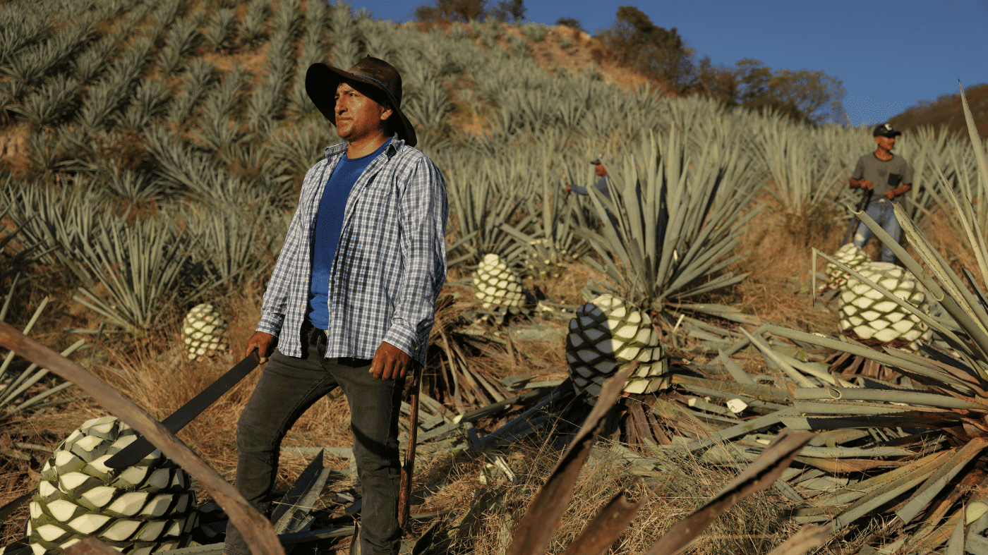Mezcal's boom faces a new threat: cargo hijackings by cartels