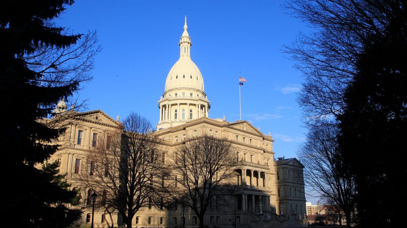 Michigan Democrats Hold Senate Majority in Special Election Win