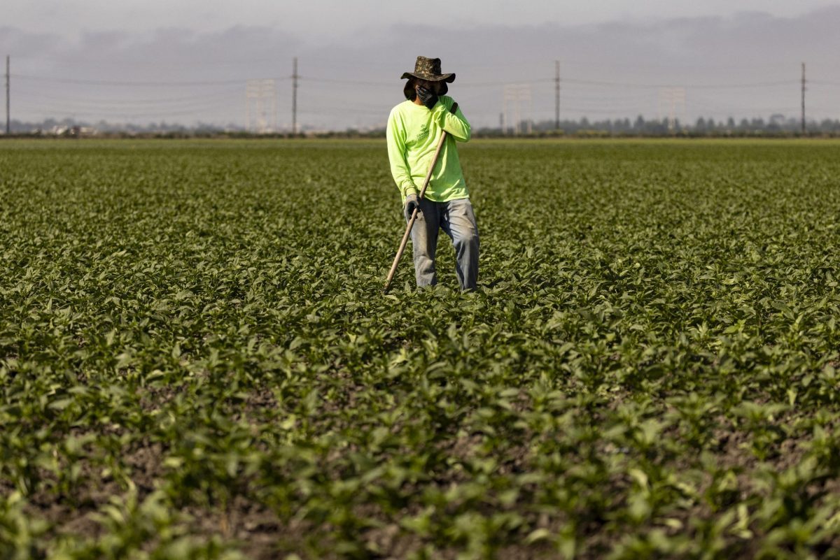 Mysterious Kidney Disease Emerging in US Agricultural Workers