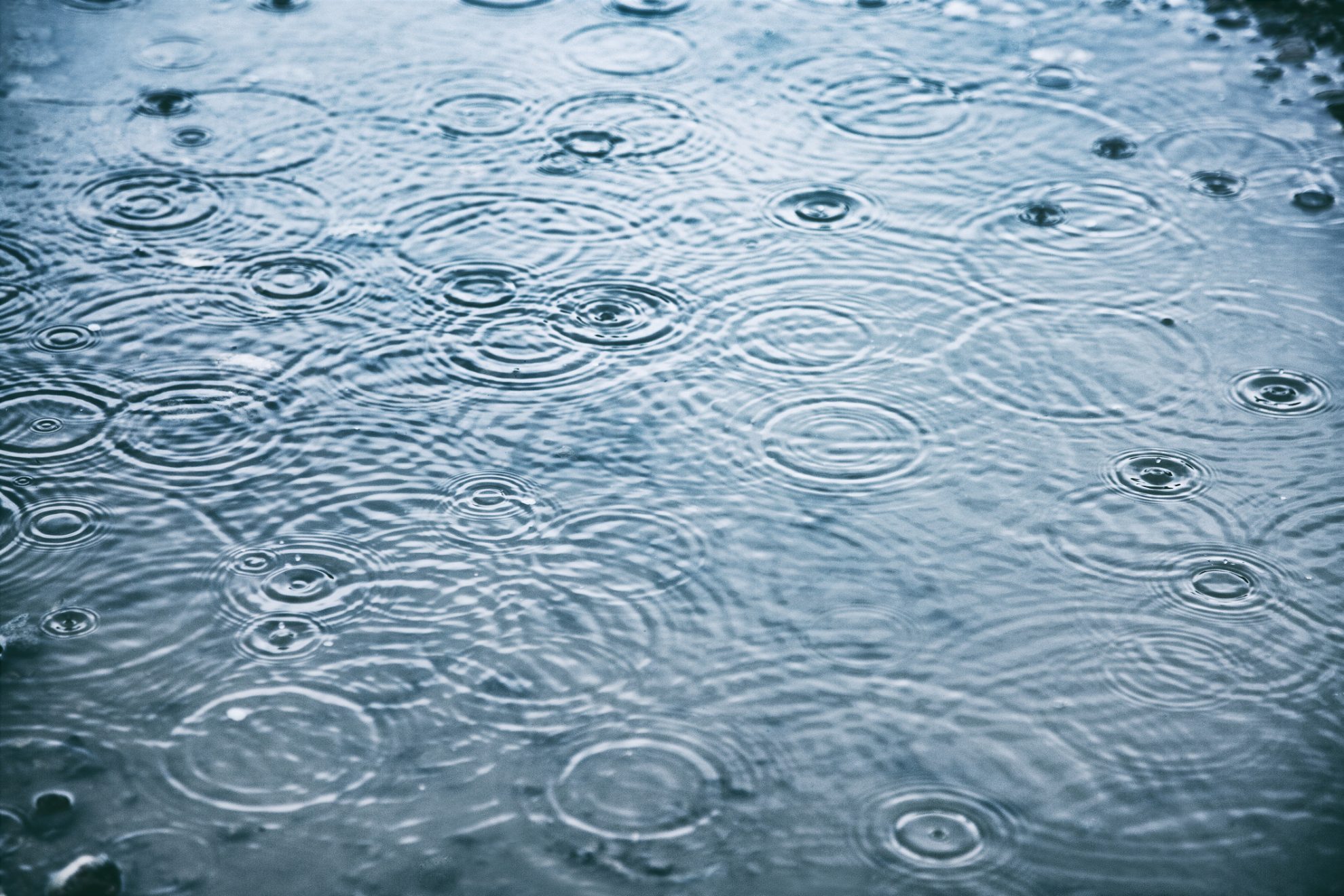 NOAA Fall 2026 Forecast: Warm North, Wet South as Super El Niño Looms