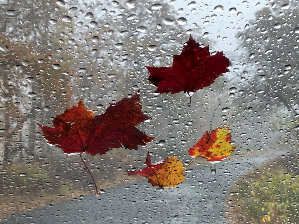 NOAA Fall Forecast: Most States See Warm, Dry Start as El Niño Strengthens