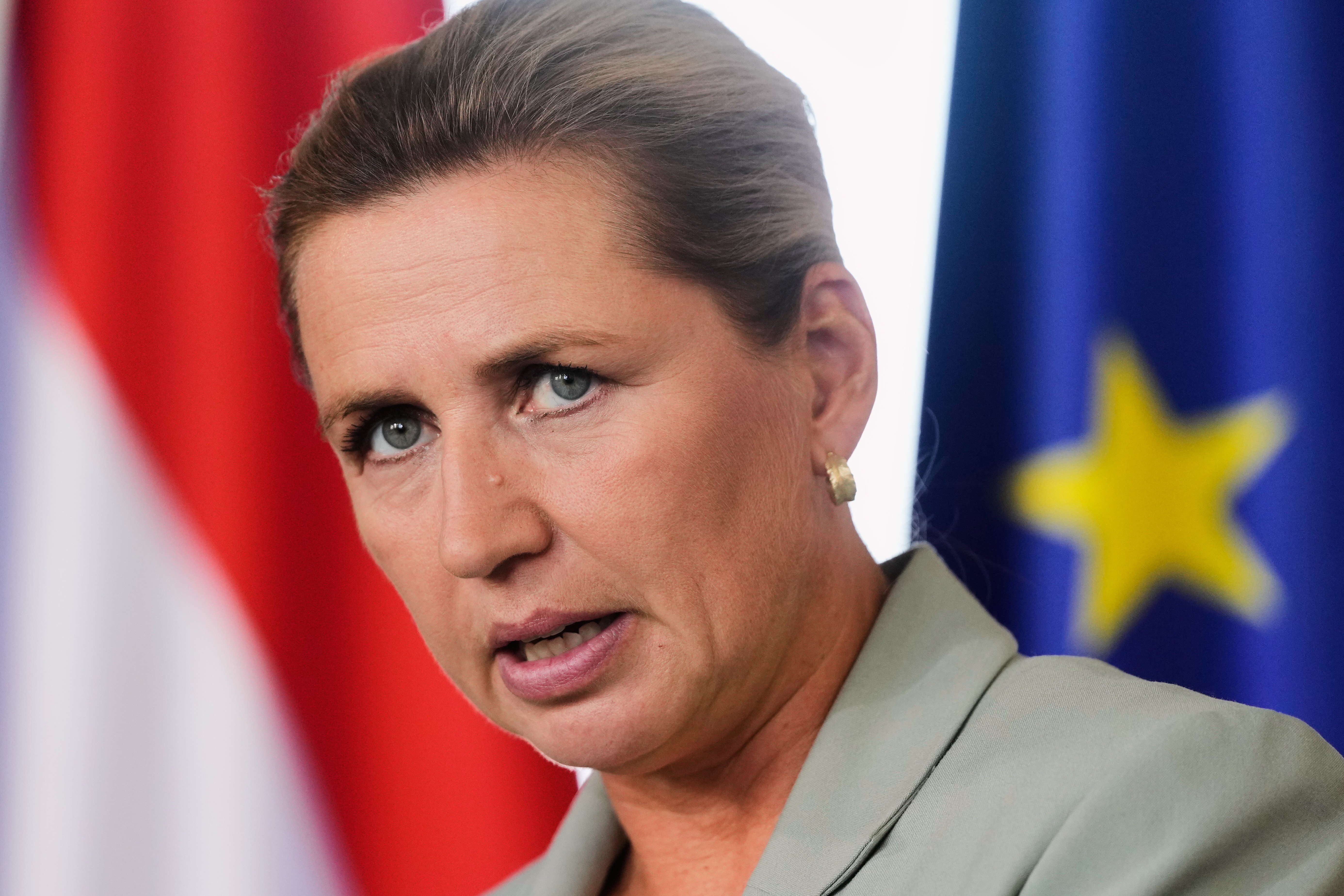 Nordic Model Offers Democrats a Path on Immigration