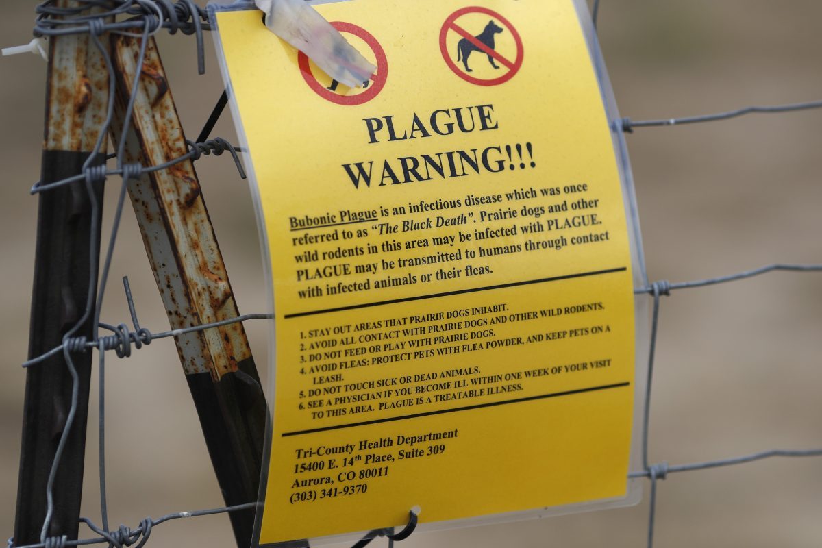 Plague Still Surfaces in US: New Mexico Death Highlights Persistent Risk