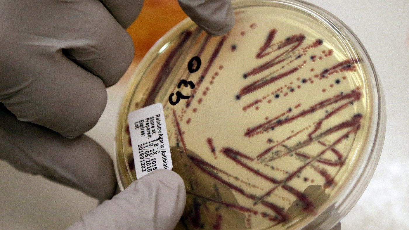 Public Health Emerges as Key Issue for 2026 Voters