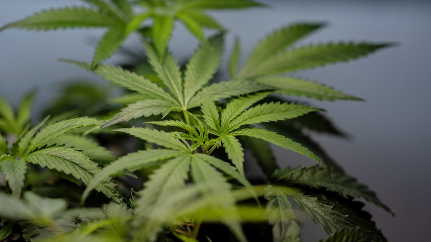 Recreational pot laws tied to more heart-related hospitalizations, study says