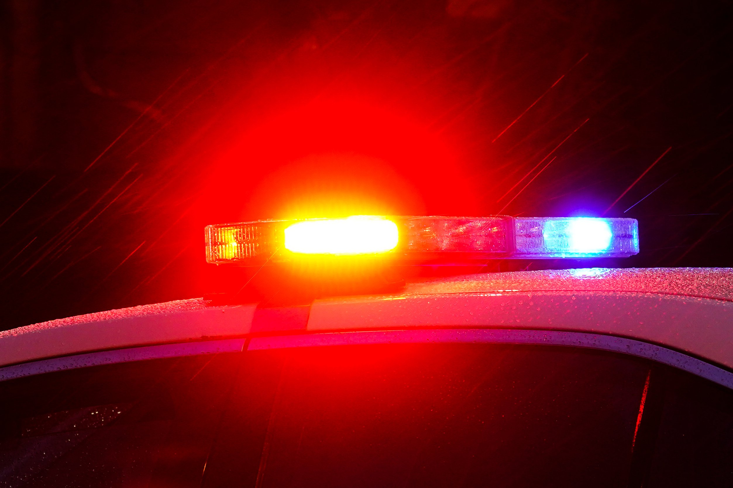 Six Arrested in Brutal Kidnapping and Torture at Florida Margaritaville Resort
