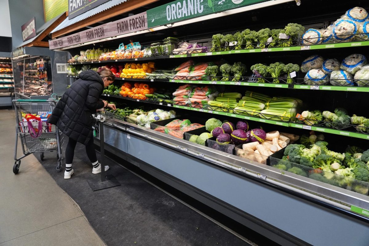 SNAP Funding at Risk: 41 States Face Penalties Over Error Rates