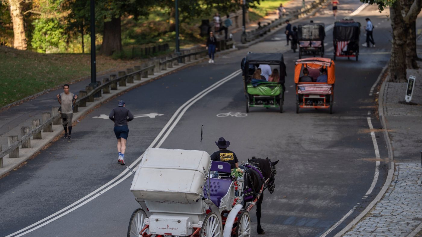 Trump Condemns NYC Vote to Phase Out Horse Carriages