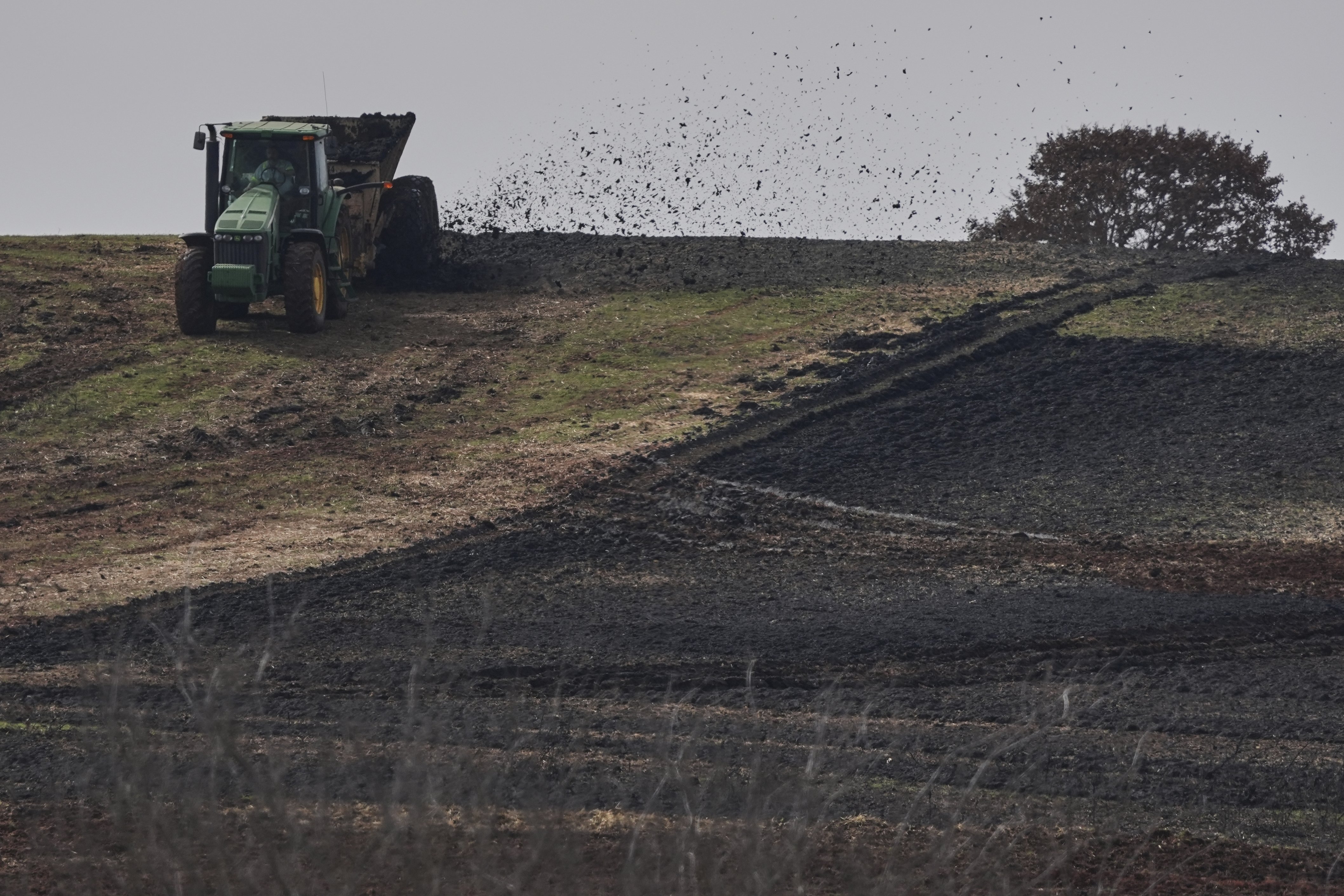 Trump EPA Rejects Biden-Era Warning on Cancer Risk from PFAS in Farm Sludge