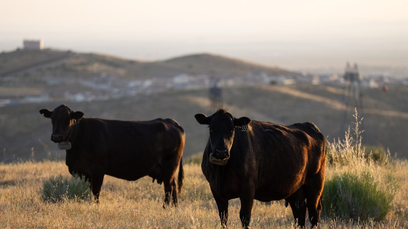 Trump moves to let farmers process own meat, targeting packer monopoly