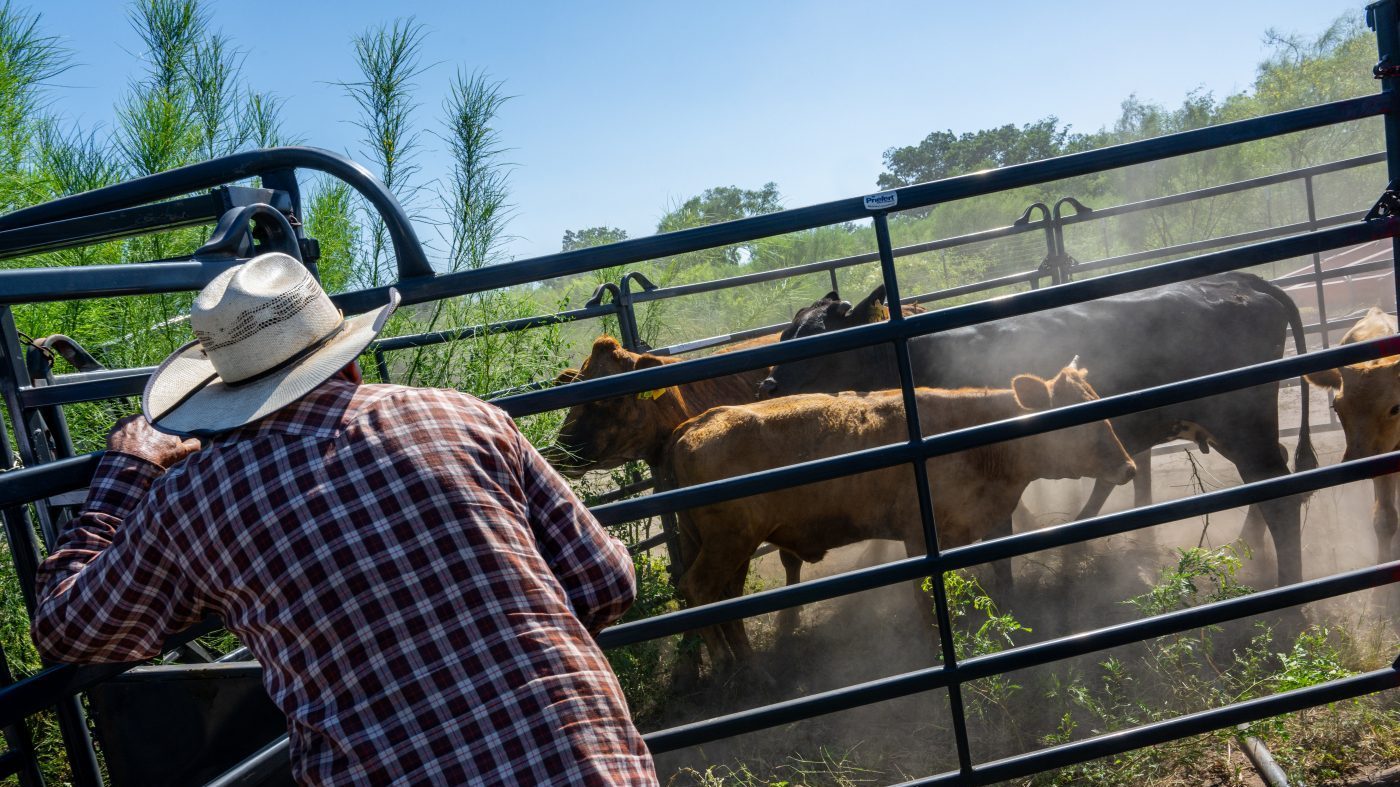 USDA unveils Ranchers First Initiative to tackle 75-year low in cattle numbers